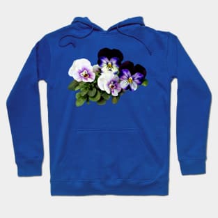 Four Pansies Hoodie